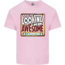 You're Looking at an Awesome Carpenter Mens Cotton T-Shirt Tee Top Light Pink