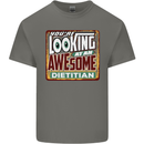 You're Looking at an Awesome Dietitian Mens Cotton T-Shirt Tee Top Charcoal
