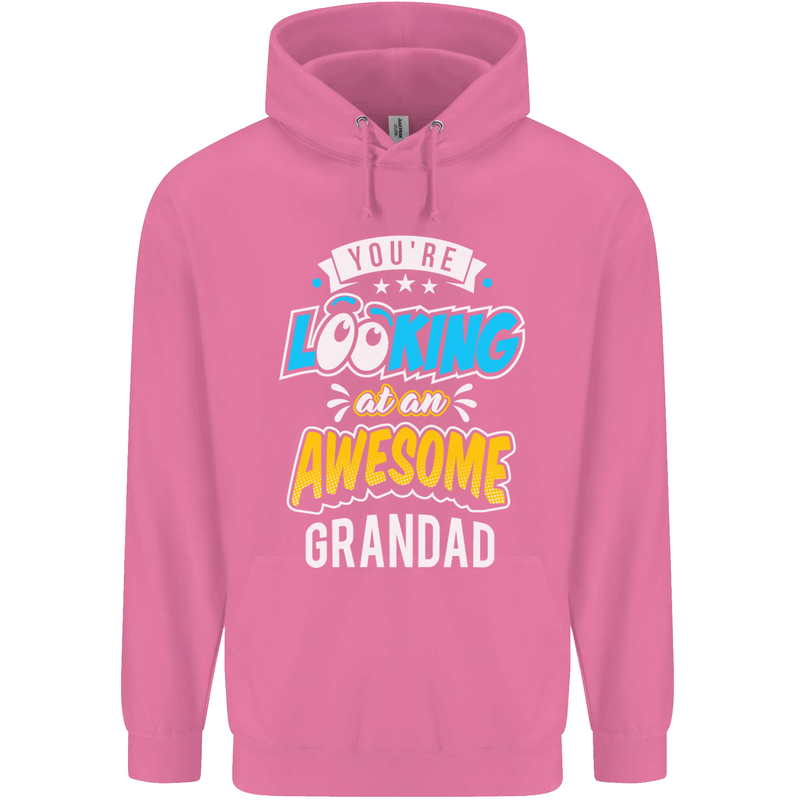 You're Looking at an Awesome Grandad Mens 80% Cotton Hoodie Azelea