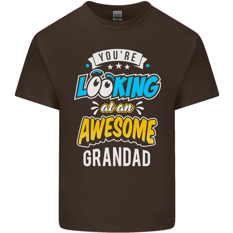 You're Looking at an Awesome Grandad Mens Cotton T-Shirt Tee Top Dark Chocolate
