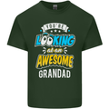 You're Looking at an Awesome Grandad Mens Cotton T-Shirt Tee Top Forest Green