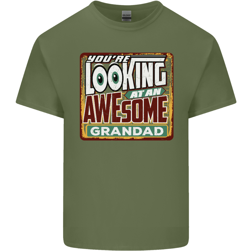 You're Looking at an Awesome Grandad Mens Cotton T-Shirt Tee Top Military Green