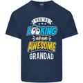 You're Looking at an Awesome Grandad Mens Cotton T-Shirt Tee Top Navy Blue