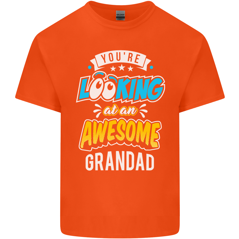 You're Looking at an Awesome Grandad Mens Cotton T-Shirt Tee Top Orange