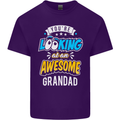 You're Looking at an Awesome Grandad Mens Cotton T-Shirt Tee Top Purple