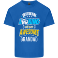 You're Looking at an Awesome Grandad Mens Cotton T-Shirt Tee Top Royal Blue