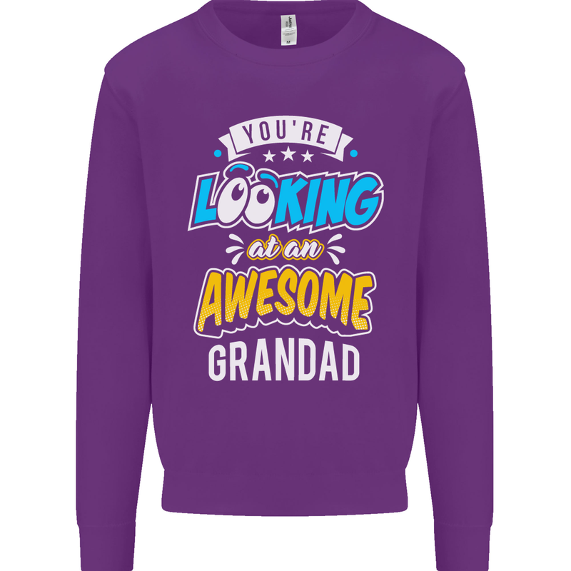 You're Looking at an Awesome Grandad Mens Sweatshirt Jumper Purple
