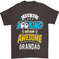 You're Looking at an Awesome Grandad Mens T-Shirt Cotton Gildan Dark Chocolate