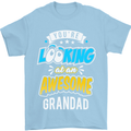 You're Looking at an Awesome Grandad Mens T-Shirt Cotton Gildan Light Blue