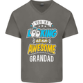 You're Looking at an Awesome Grandad Mens V-Neck Cotton T-Shirt Charcoal