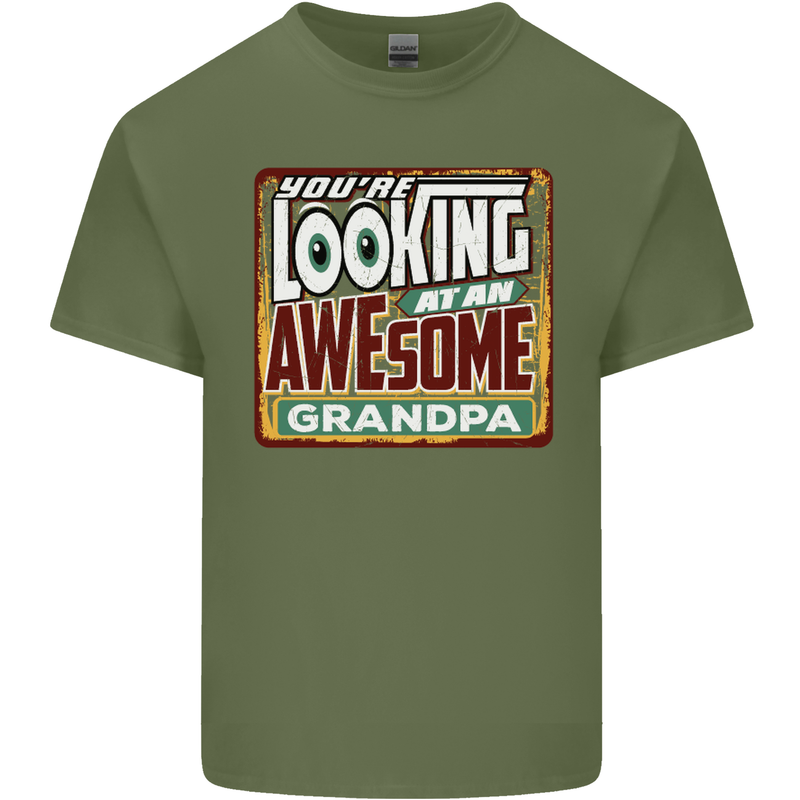 You're Looking at an Awesome Grandpa Mens Cotton T-Shirt Tee Top Military Green