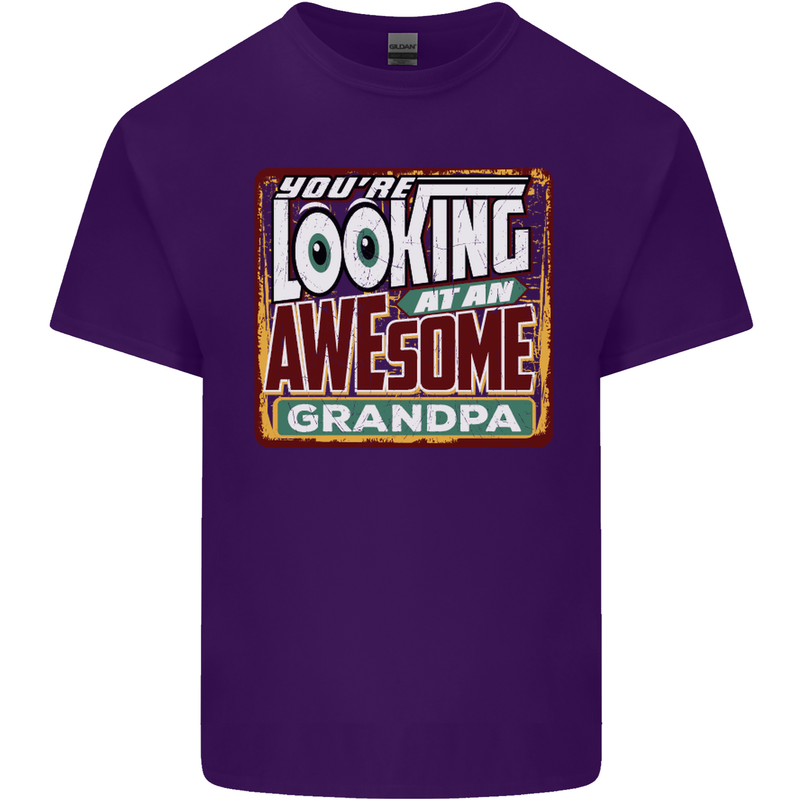 You're Looking at an Awesome Grandpa Mens Cotton T-Shirt Tee Top Purple