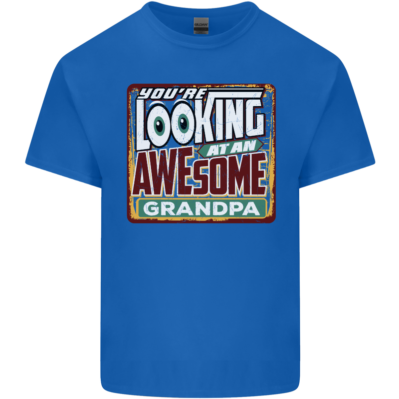 You're Looking at an Awesome Grandpa Mens Cotton T-Shirt Tee Top Royal Blue