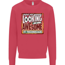 You're Looking at an Awesome IT Technician Mens Sweatshirt Jumper Heliconia
