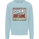 You're Looking at an Awesome IT Technician Mens Sweatshirt Jumper Light Blue