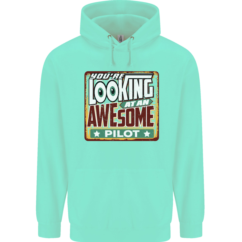 You're Looking at an Awesome Pilot Mens 80% Cotton Hoodie Peppermint