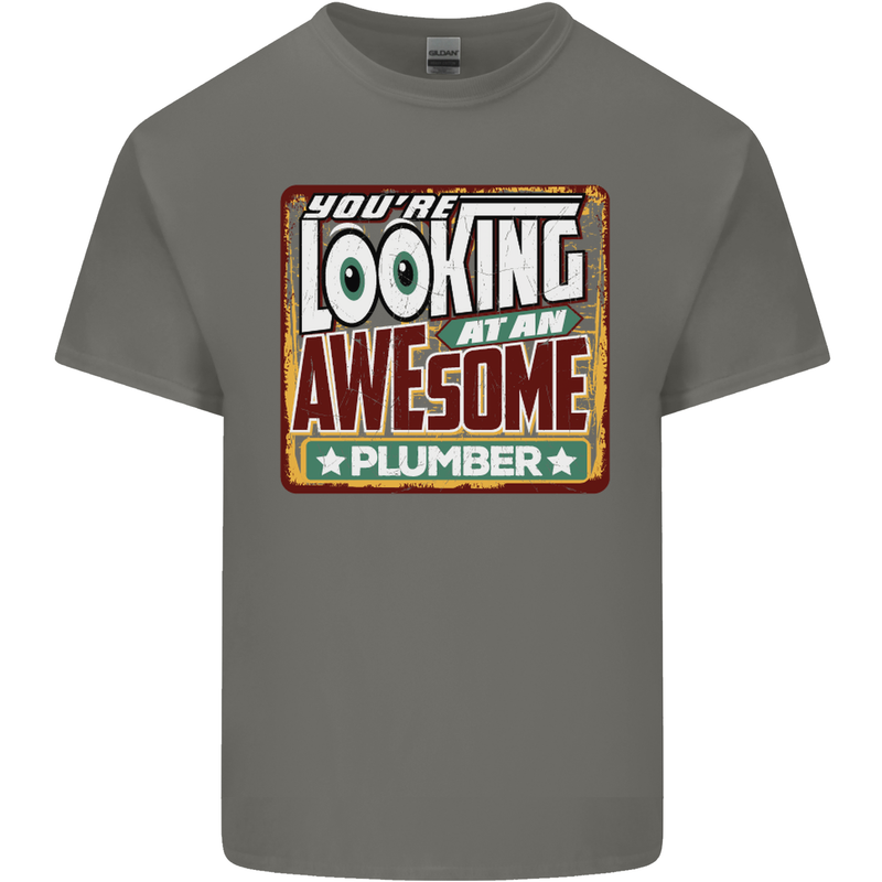 You're Looking at an Awesome Plumber Mens Cotton T-Shirt Tee Top Charcoal