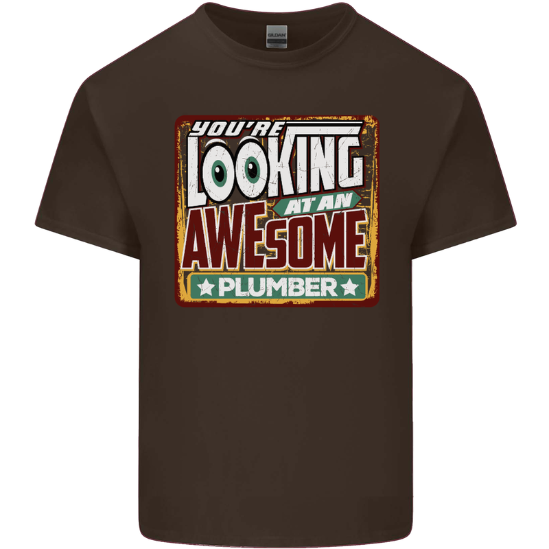 You're Looking at an Awesome Plumber Mens Cotton T-Shirt Tee Top Dark Chocolate