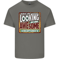 You're Looking at an Awesome Receptionist Mens Cotton T-Shirt Tee Top Charcoal