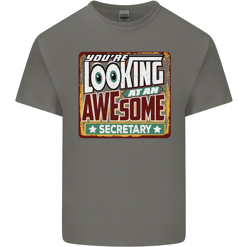 You're Looking at an Awesome Secretary Mens Cotton T-Shirt Tee Top Charcoal