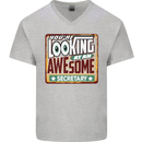 You're Looking at an Awesome Secretary Mens V-Neck Cotton T-Shirt Sports Grey