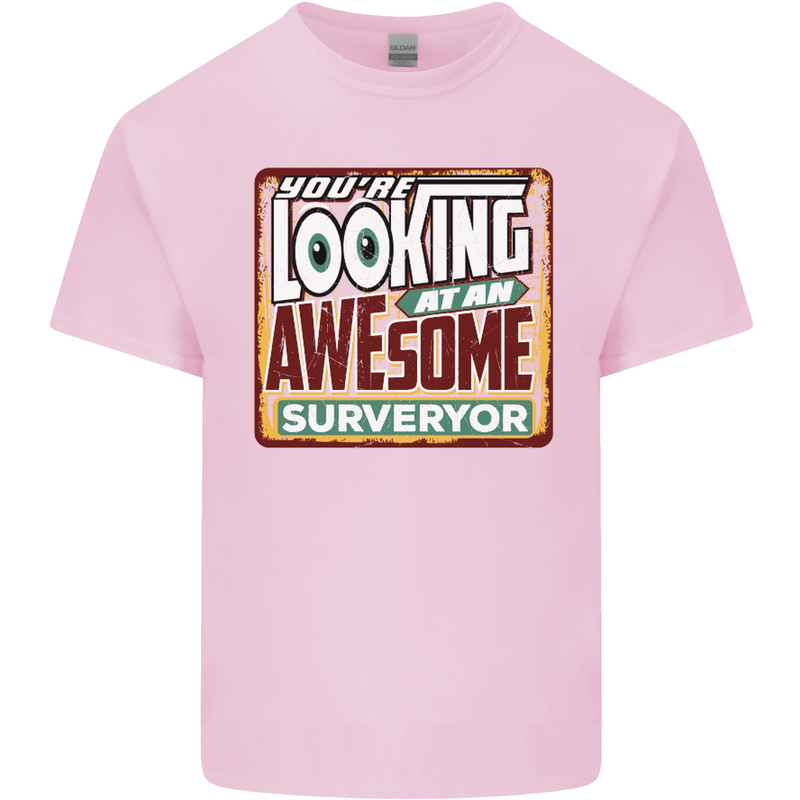You're Looking at an Awesome Surveyor Mens Cotton T-Shirt Tee Top Light Pink