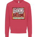 You're Looking at an Awesome Surveyor Mens Sweatshirt Jumper Heliconia
