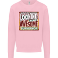 You're Looking at an Awesome Surveyor Mens Sweatshirt Jumper Light Pink