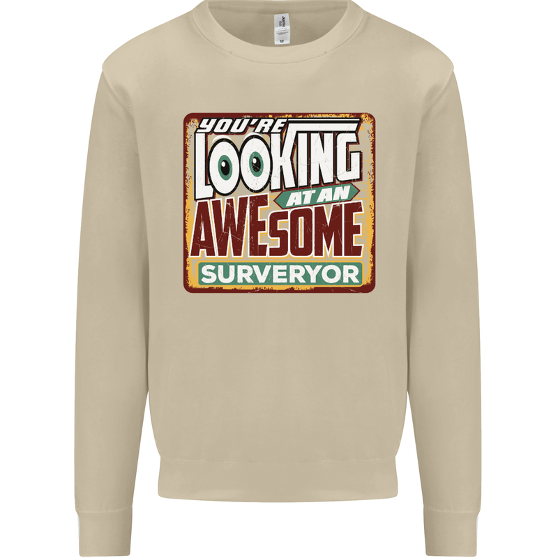 You're Looking at an Awesome Surveyor Mens Sweatshirt Jumper Sand