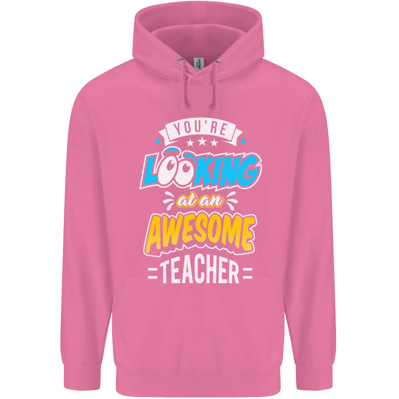 You're Looking at an Awesome Teacher Mens 80% Cotton Hoodie Azelea