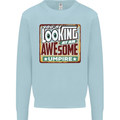 You're Looking at an Awesome Umpire Mens Sweatshirt Jumper Light Blue