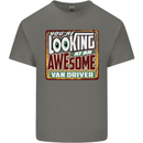 You're Looking at an Awesome Van Driver Mens Cotton T-Shirt Tee Top Charcoal