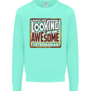 You're Looking at an Awesome Veterinarian Mens Sweatshirt Jumper Peppermint