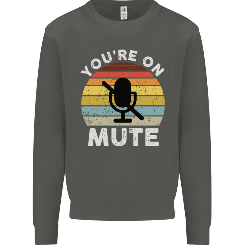 You're On Mute Funny Microphone Conference Kids Sweatshirt Jumper Storm Grey